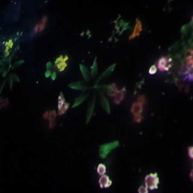 [Video] Team Lab Flutter of Butterflies beyond Borders Saatchi Gallery London September 2015 What an amazing installation. I can spend hours here. I hope to see more in the near future. What a treat to be able to see this in Europe.