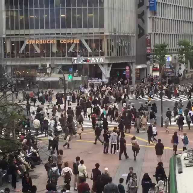 [Video] Shibuya Crossing #Tokyo