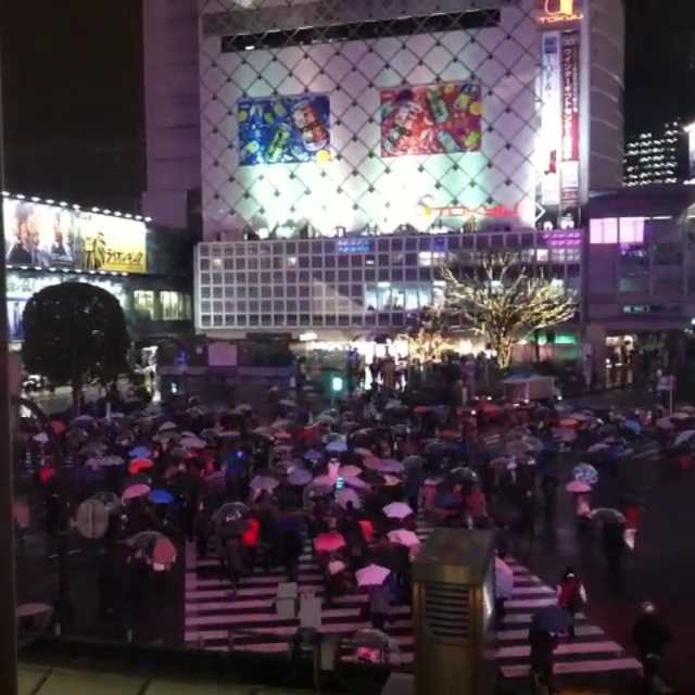 [Video] #shibuyacrossing at night on a rainy day :)