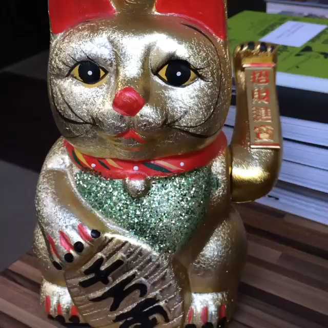 [Video] Lucky cat. Instagram cut both ears and feet. Not sure about this…