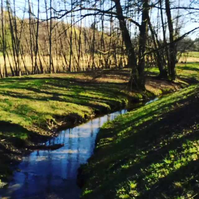 [Video] Do you hear the water and the birds? Nature’s soundtrack.