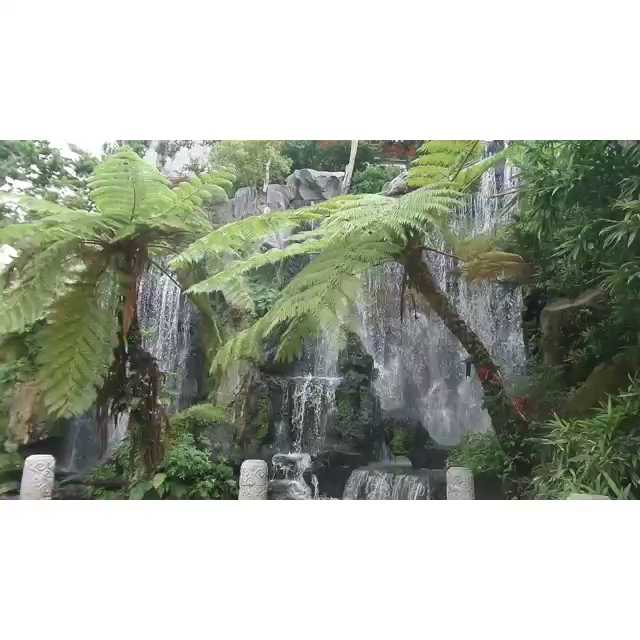 [Video] #LongshanTemple