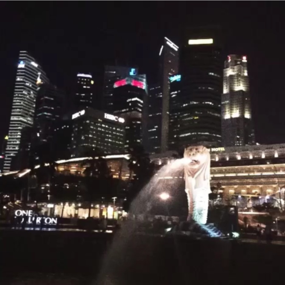 [Video] Spitting lion Marina Bay ^,^ by ricarda8888 on @phhhoto