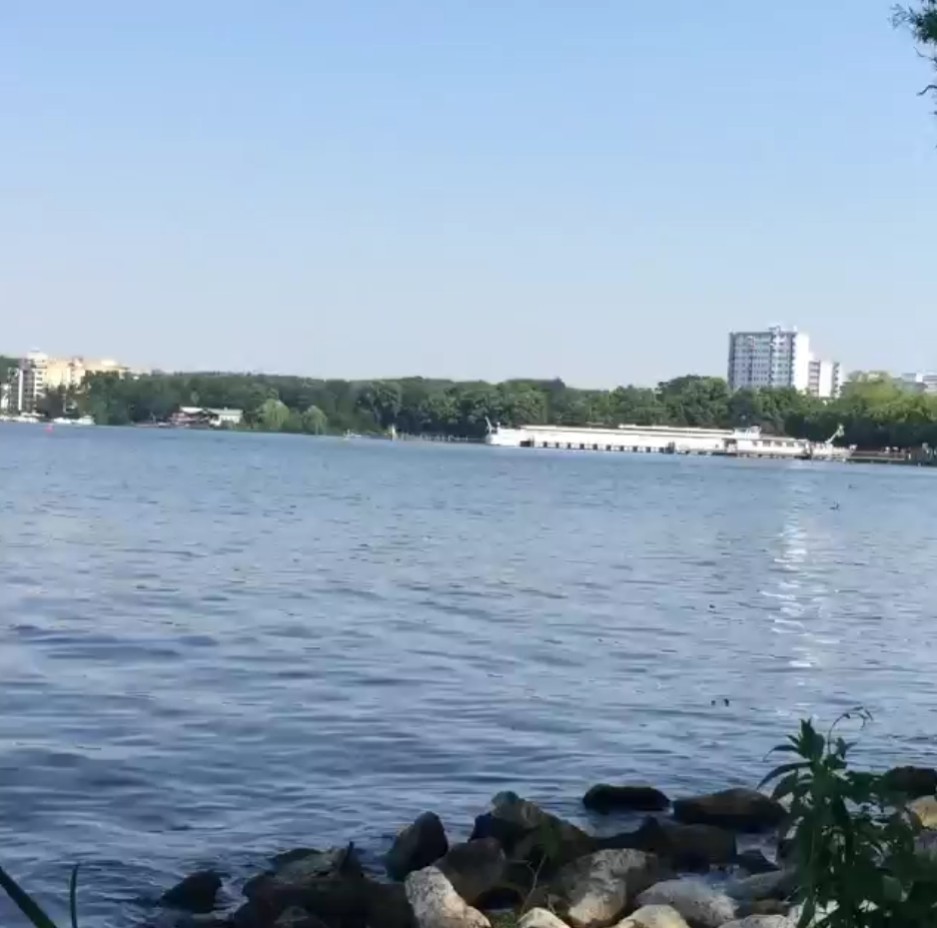 [Video] Enjoying the lake before the heat arrives. #berlin