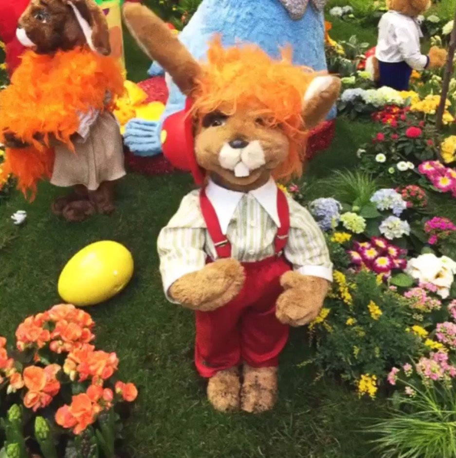 [Video] #Bunny