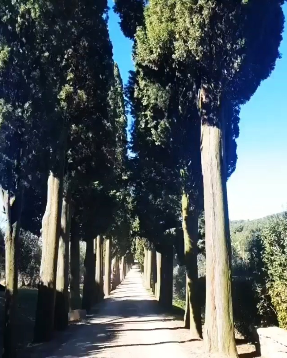 [Video] The road to this famous #winery is really beautiful