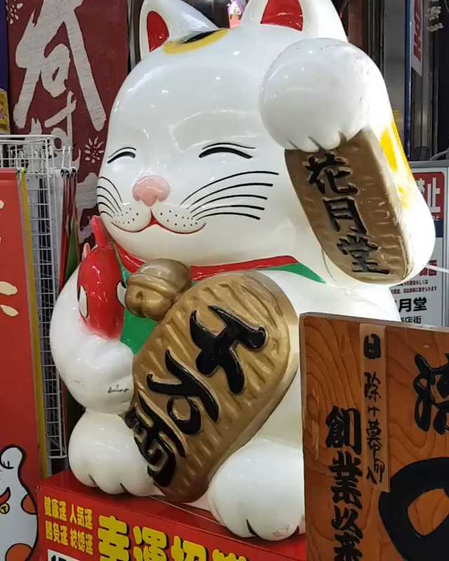 [Video] Oversized #LuckyCat 😁