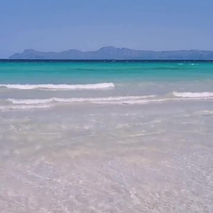 [Video] The water is so clear. The sand so soft. The color a beautiful turquoise… Beautiful 🌊💙 – Playa de Muro Beach #Mallorca