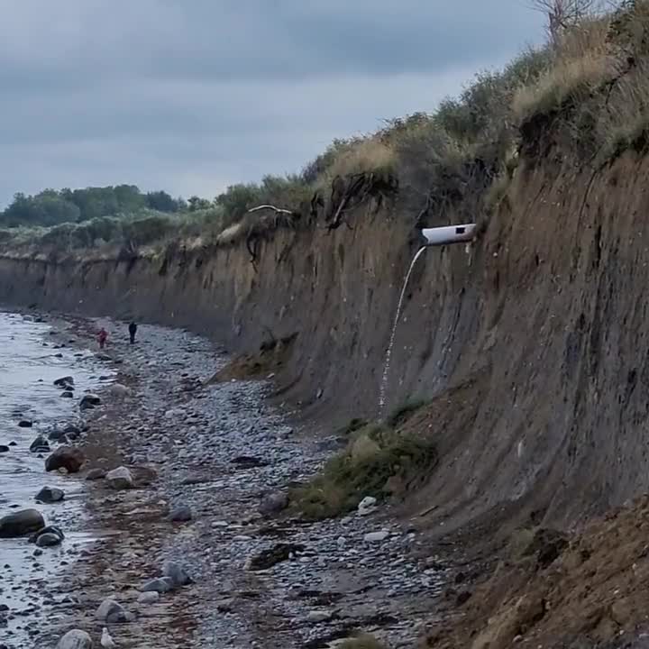 [Video] #theForest after a day and night of #rain