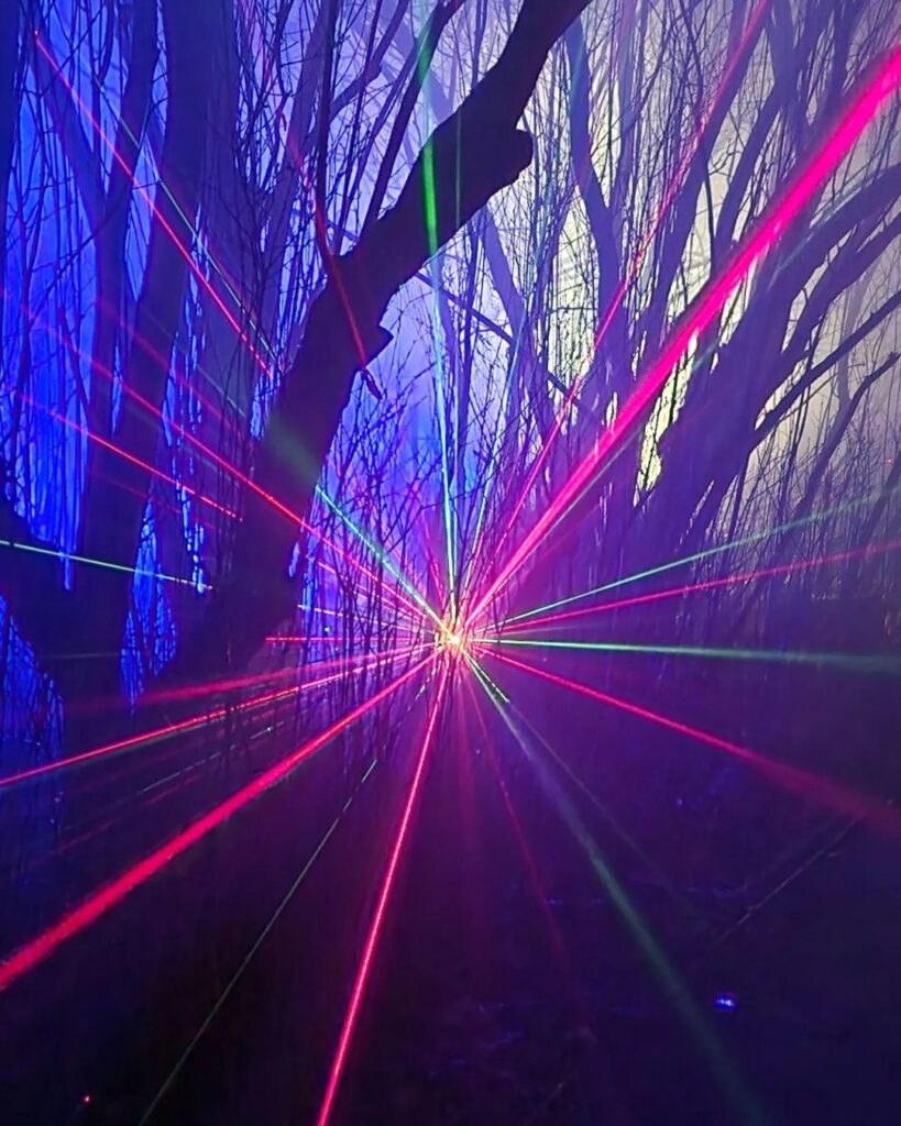 [Video] Weihnachten im Tierpark 🎄 👍 #TiergartenBerlin #Berlin