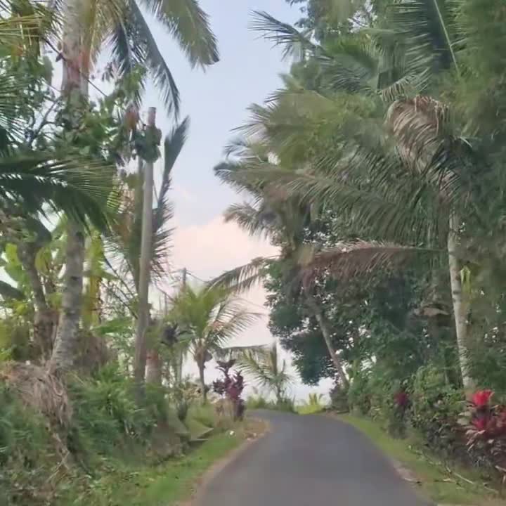 [Video] UNESCO World Heritage side of the famed Bai rice terraces Jatiluwih. #Bali