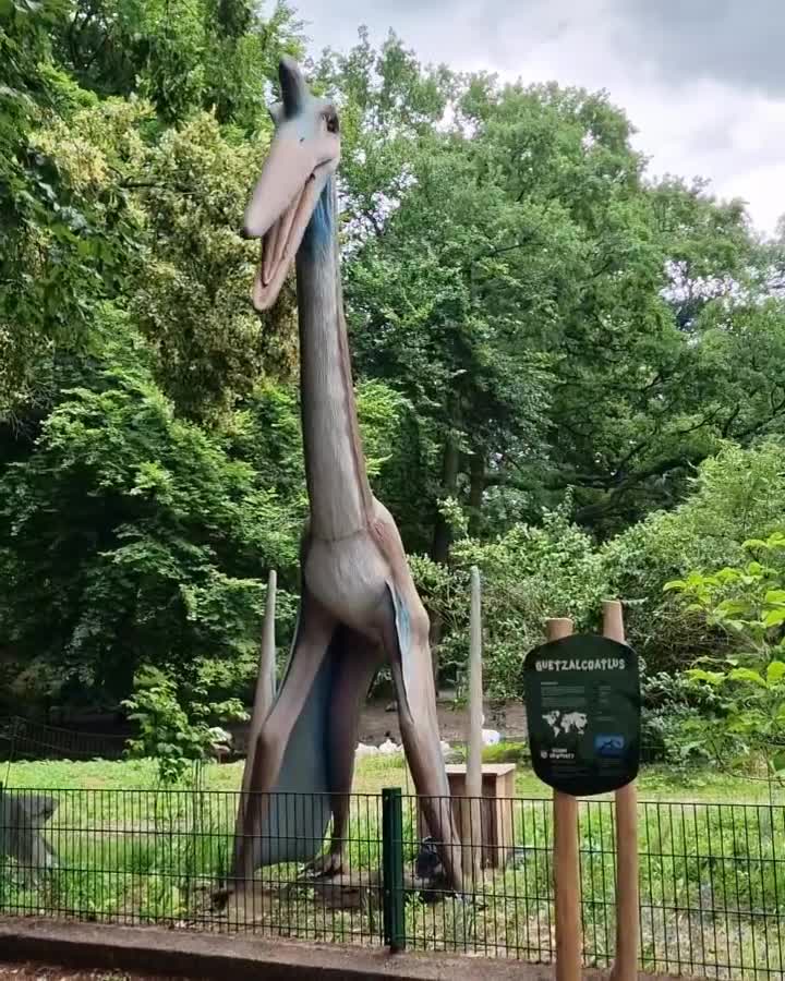 [Video] Love this. The Dinos are loose at @tierparkberlin… Make sure to stay hidden. I came across T-Rex and many other Dinosaurs Species today 🦕 🙏🏻