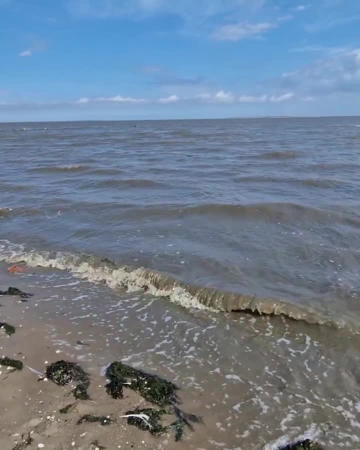 [Video] Wattenmeer #WaddenSea