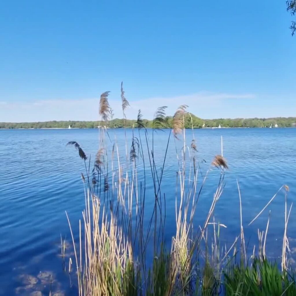 [Video] Love having this lake nearby. And spring is back ☀ #TegelerSee #Berlin