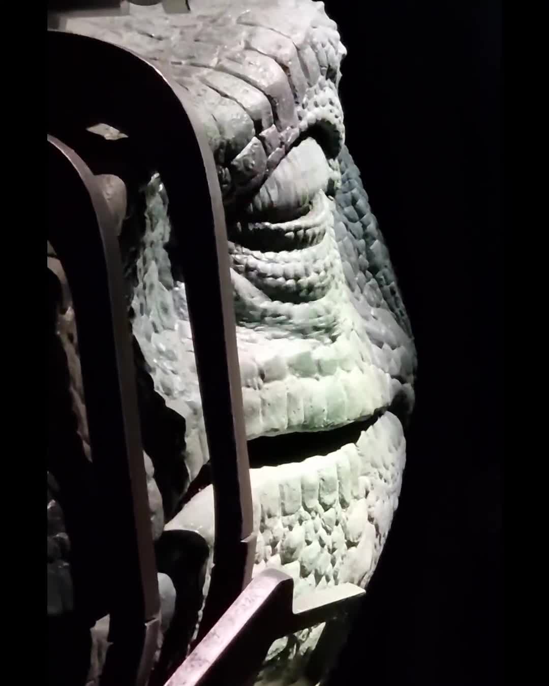[Video] If you haven’t been: Go! Highly recommended : Jurassic World Exhibition 🦕 #Berlin