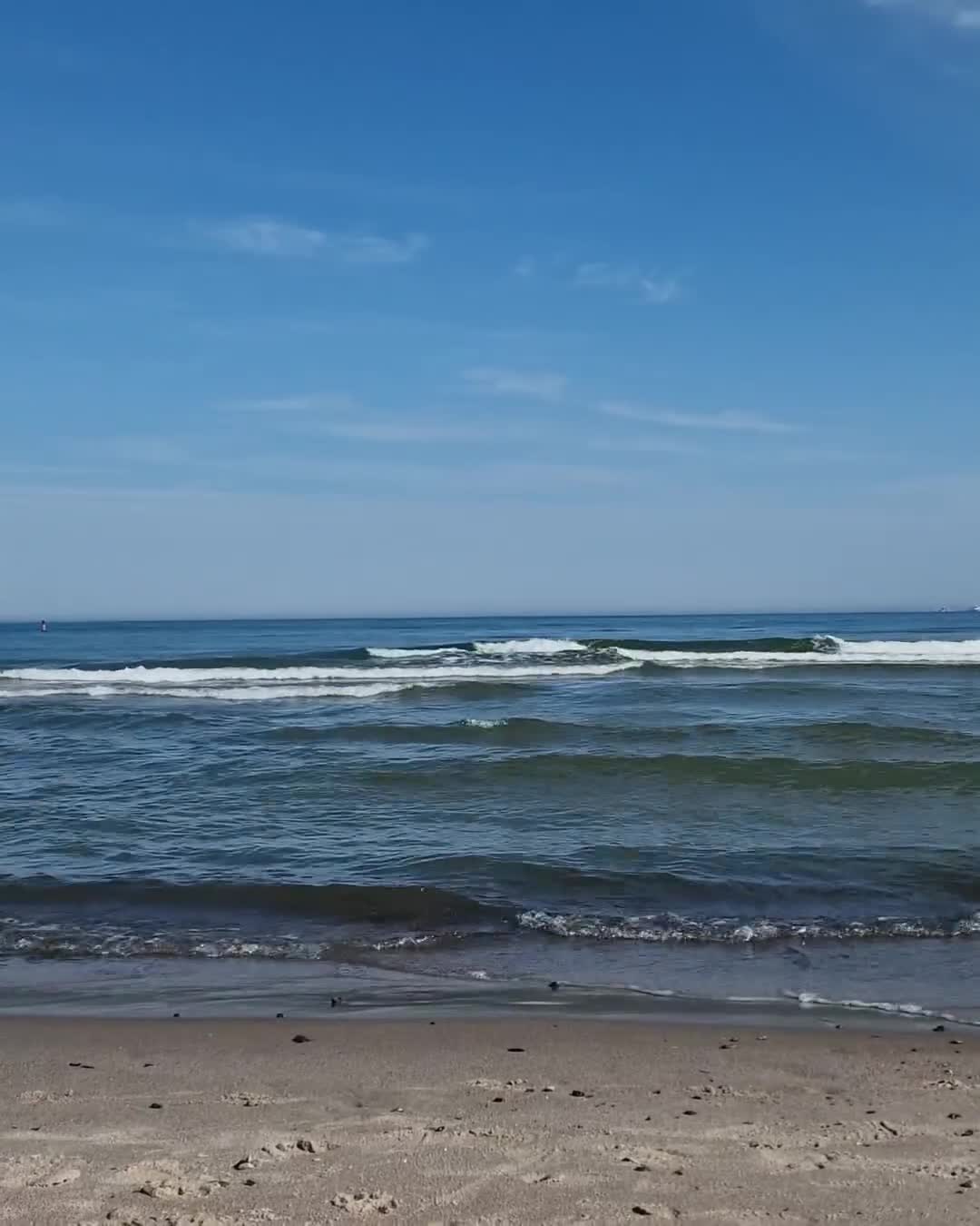 [Video] Beautiful to just stroll along 🌳 #BalticSea