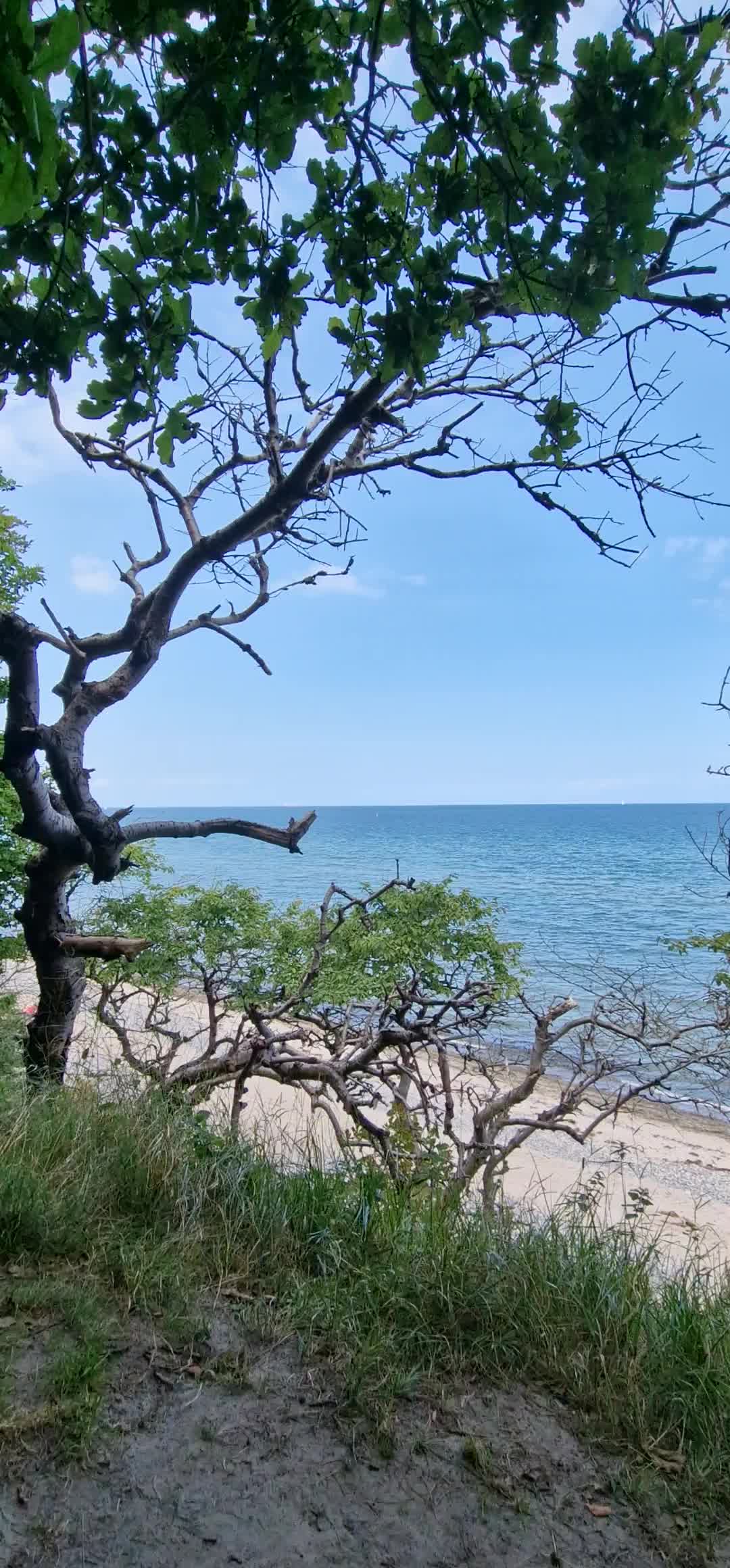 [Video] Bliss. The Baltic Sea 🌊

#nature #thesea #video #BalticSea