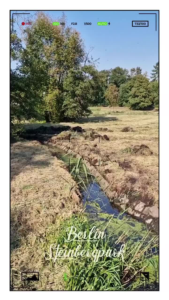 [Video] Berlin Steinbergpark showing the contrast between the wild meadow and the newly mowed landscape.#Berlin #photography #BerlinPhotography #photooftheday #nature #city #travel #urbanlife #reinickendorf #NaturePhotography #UrbanPhotography