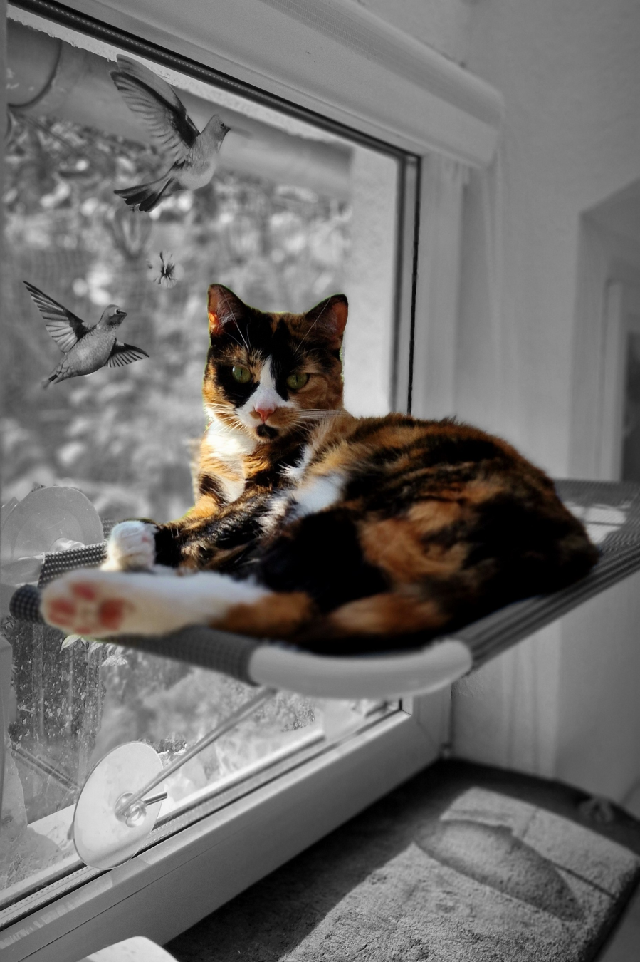 Rosé 🌹 and her favourite place