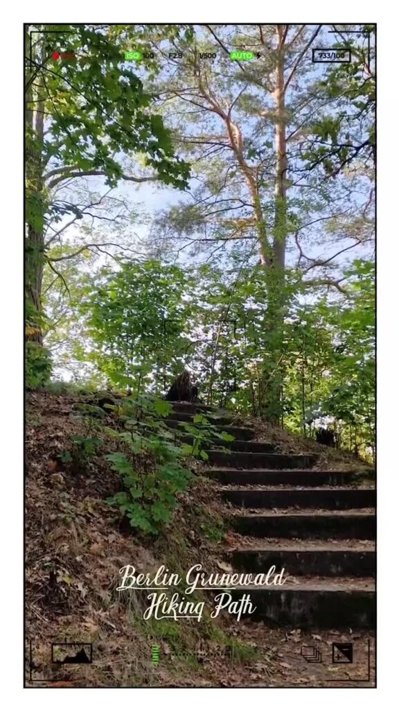 [Video] Hiking path in #Grunewald#Berlin #Germany #photography #BerlinPhotography #photooftheday #nature #city #travel #urbanlife #forest #hiking #NaturePhotography #UrbanPhotography
