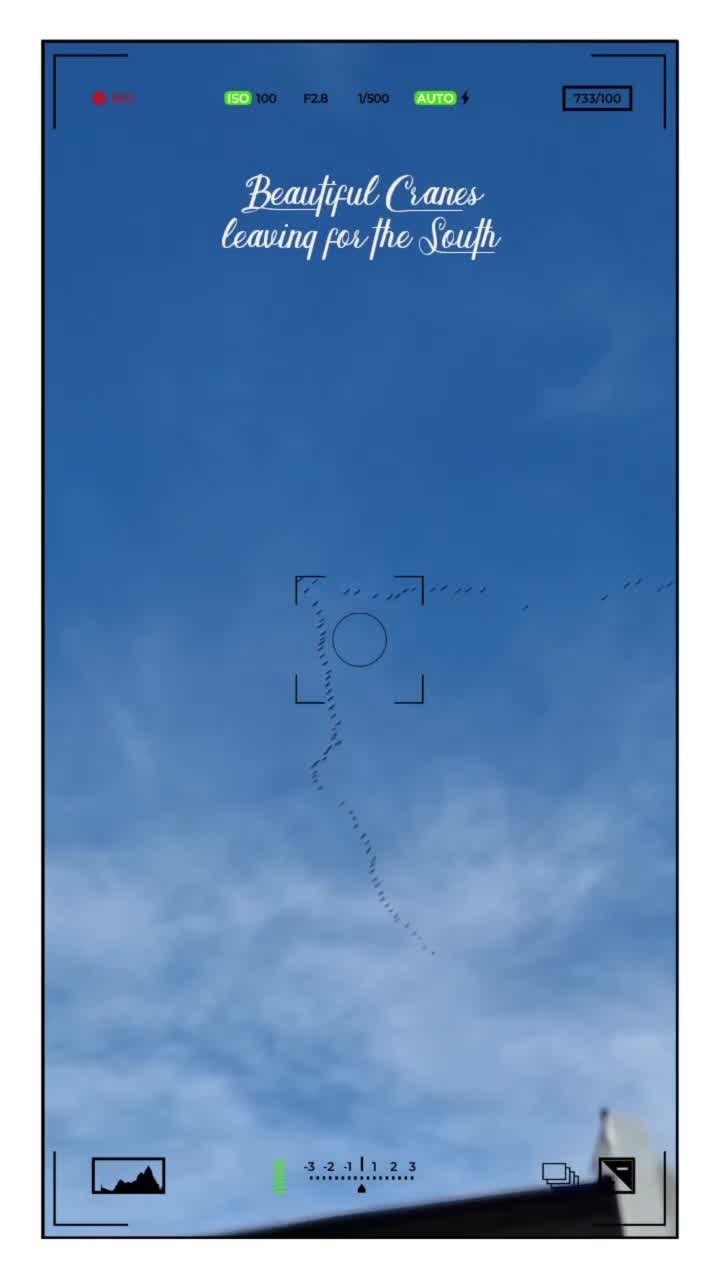 [Video] Thousands of beautiful #Cranes passed my house yesterday heading to the South 💖#bird #birds #birdphotography #nature #photography 🪶 #crane #kranich #Zugvögel #migratingbirds #Berlin #Reinickendorf #travel