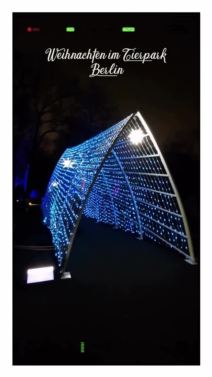 [Video] #Weihnachten im Tierpark 🎄Christmas at the #Tierpark #BerlinBeautiful #Christmas lights ✨#Berlin #Germany #photography #BerlinPhotography #photooftheday #city #travel #urbanlife #UrbanPhotography
