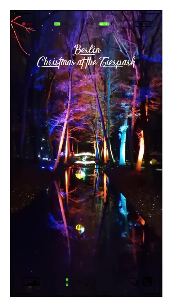 [Video] Weihnachten im Tierpark. Beautiful light installation – still open until ~Jan 12, 2025#Berlin #Germany #photography #BerlinPhotography #photooftheday #nature #city #travel #urbanlife #NaturePhotography #UrbanPhotography