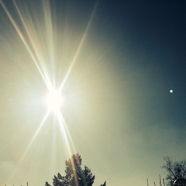 Sitting in a t-shirt on my balcony having breakfast. I love Sundays like this. #sunshineinbe