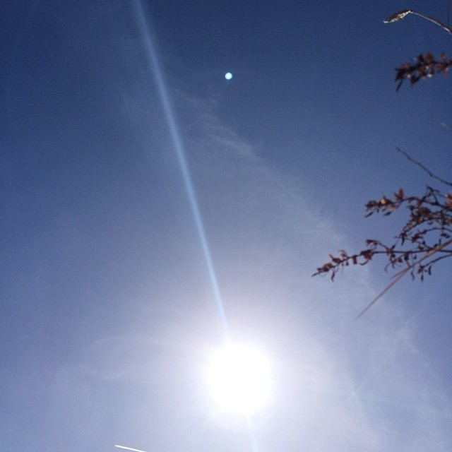 What a stunning day it is! #spring