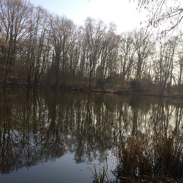 Chilling at the lake behind my apartment :)