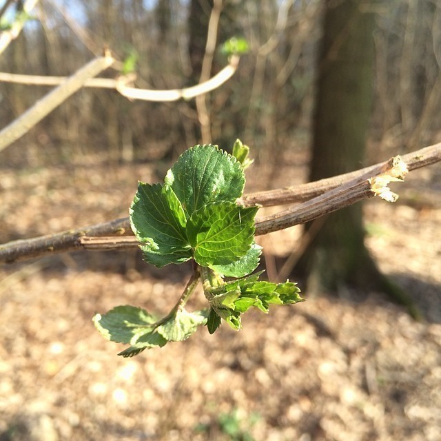 #spring is in the air. Beautiful!