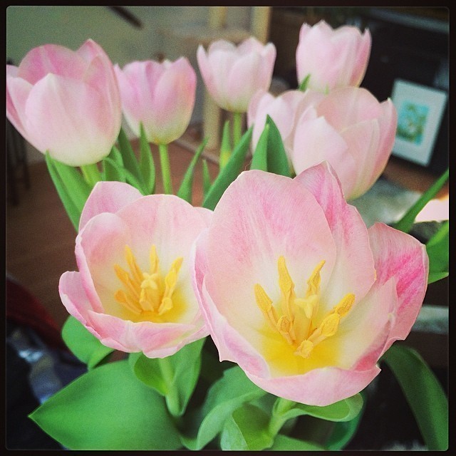 Happy Sunday! :)