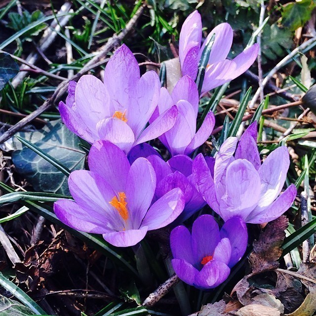 Spring #berlin