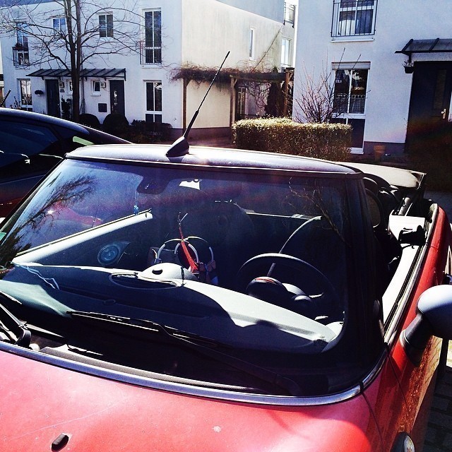 20 degrees in town; time to go topless… #berlin