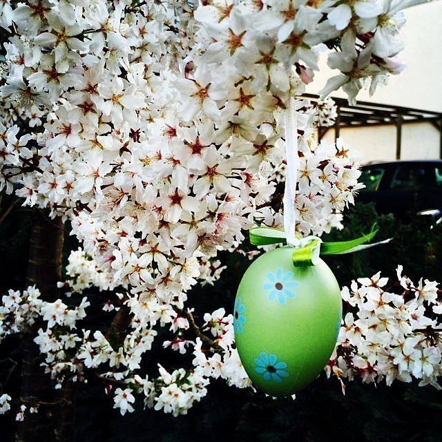 Spring has arrived and Easter is not far away. #spring