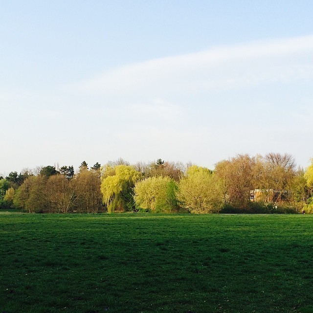Behind “my” house. #spring