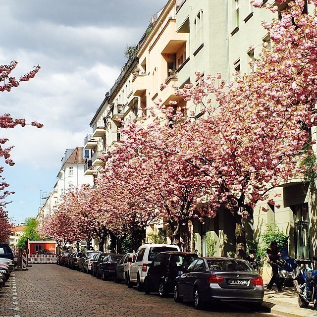 Beautiful sunny spring day in #berlin today. Weather forecast for Easter: sunshine 😎.