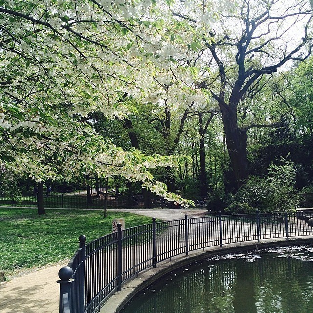Lunch break at the local park (2) #berlin