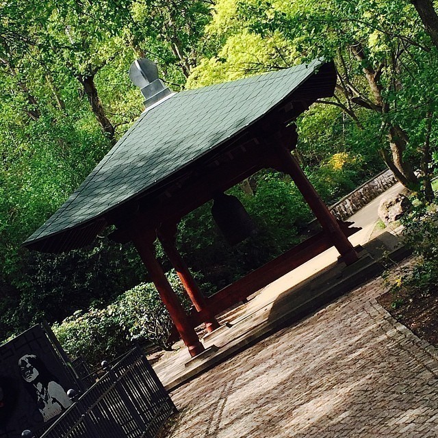 Lunch break at the local park (1) #berlin