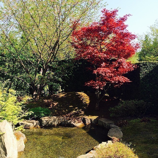 I love spring: the way nature unfolds itself after a long sleep and the way it greets us with strong and fresh colours. And it does so endlessly: year after year.