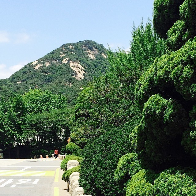 #seoul impressions