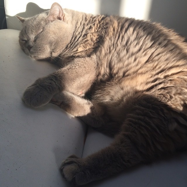 Catching the last rays of sunshine for today ^,^ …