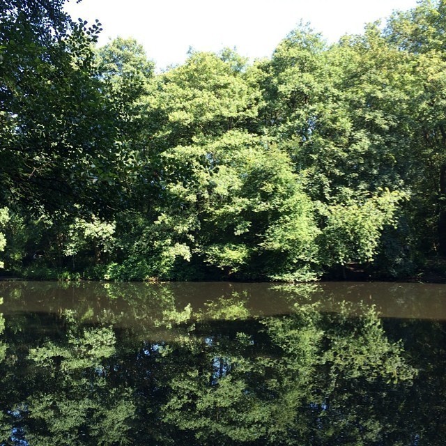 Bliss. The Forest with lake behind my apartment building. #berlin