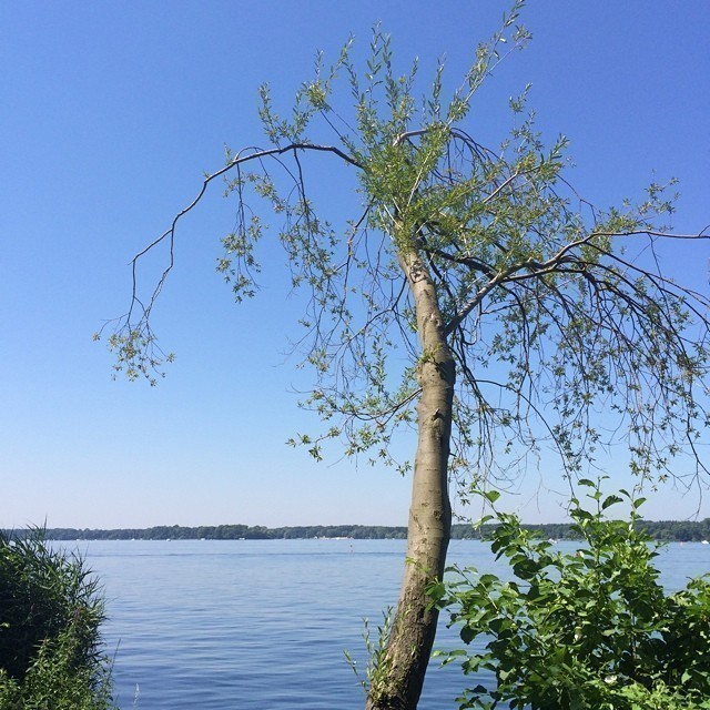 #tegelersee