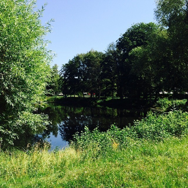 You gotta love Berlin in the summer (4) …. #berlin