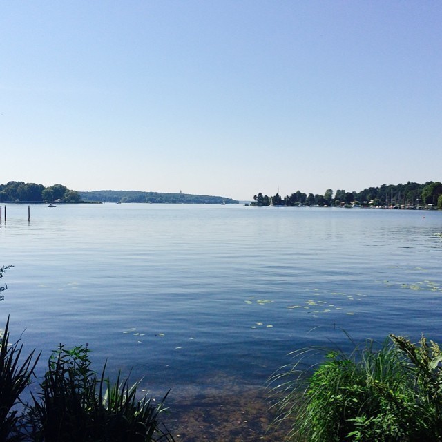 You gotta love Berlin in the summer (3) …. #berlin