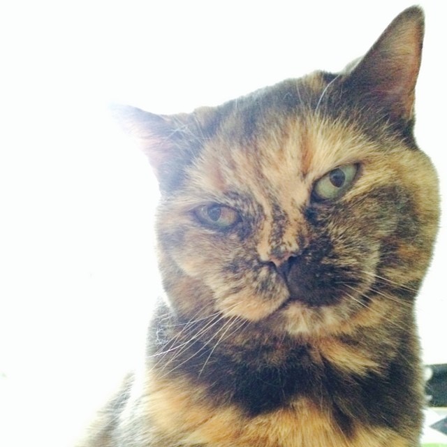 Missy.
