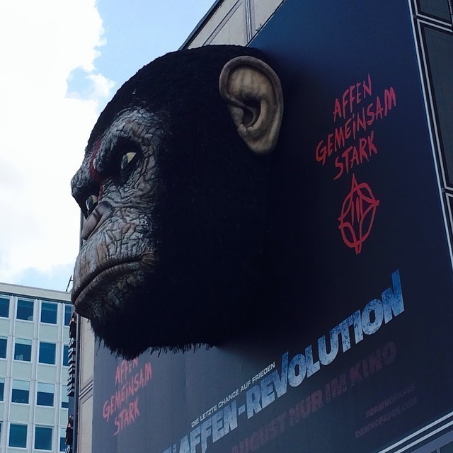 The monkeys are on the loose in Berlin! #planetoftheapes