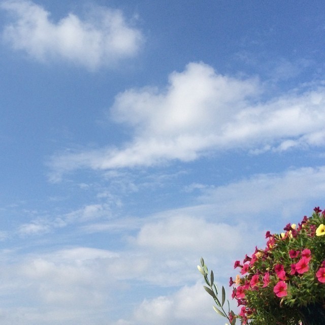 Such a beautiful Sunday morning. Humidity is starting to increase so I guess thunderstorms later today: until then enjoy the sun and the gentle breeze ^,^