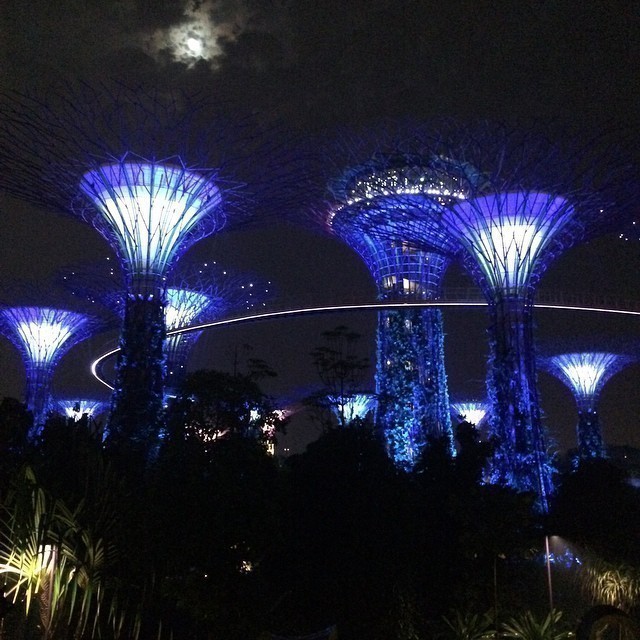 We’ve reached the planet of Avatar. #singapore